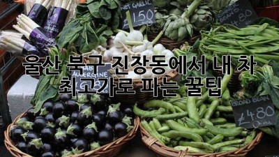 울산 북구 진장동에서 내 차 최고가로 파는 꿀팁 🚗💨